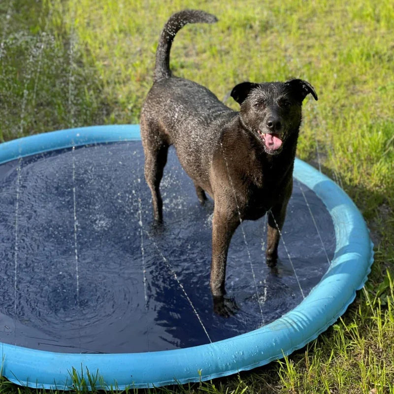 SplashPet - Piscina com Chafariz Interativa para Cachorros (BLACK NOVEMBER)