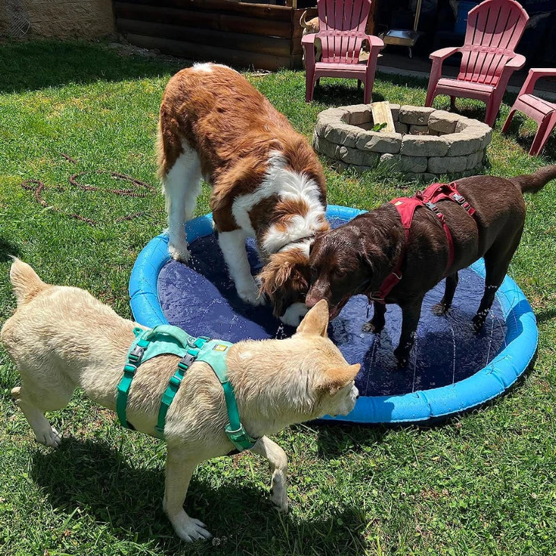 SplashPet - Piscina com Chafariz Interativa para Cachorros (BLACK NOVEMBER)