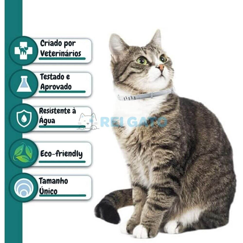 Coleira Anti-pulgas para Gatos