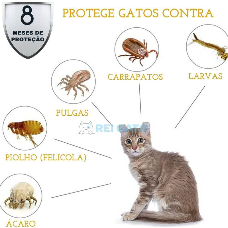 Coleira Anti-pulgas para Gatos