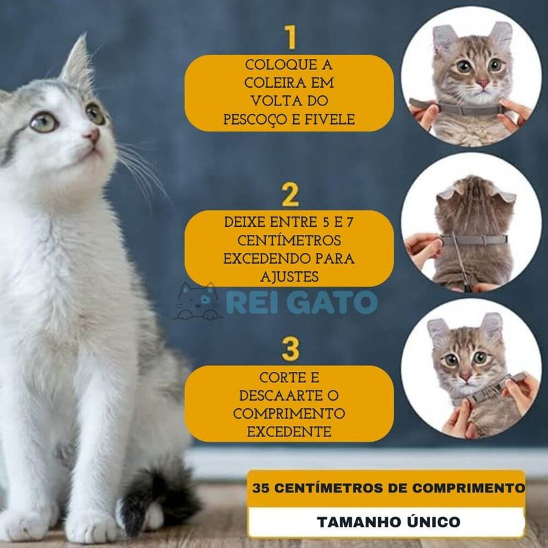 Coleira Anti-pulgas para Gatos