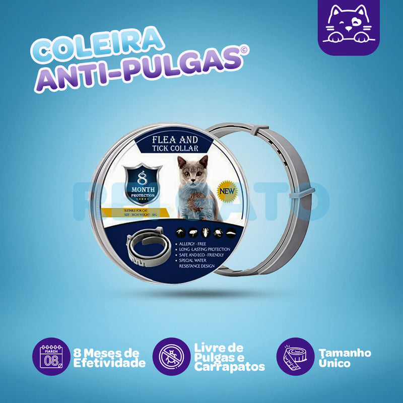 Coleira Anti-pulgas para Gatos