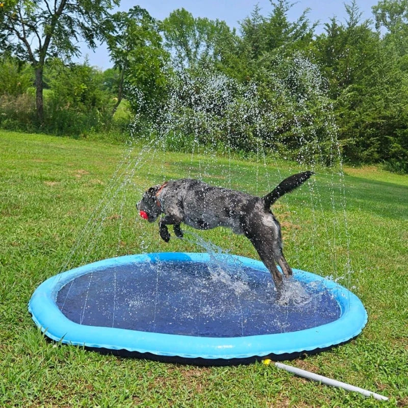 SplashPet - Piscina com Chafariz Interativa para Cachorros (BLACK NOVEMBER)